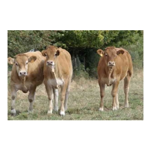 La Ferme de la Croix Blanche