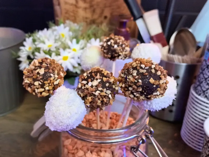 Cake pops au chocolat enrobés d'éclats de noisette et noix de coco